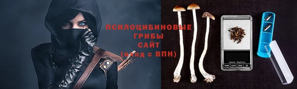 первитин Богородск
