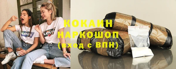 apvp Бородино