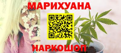 spice Обнинск