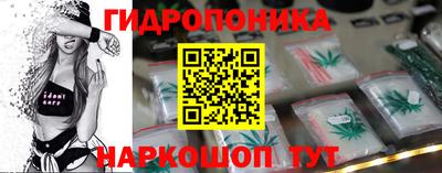 шишки Нягань