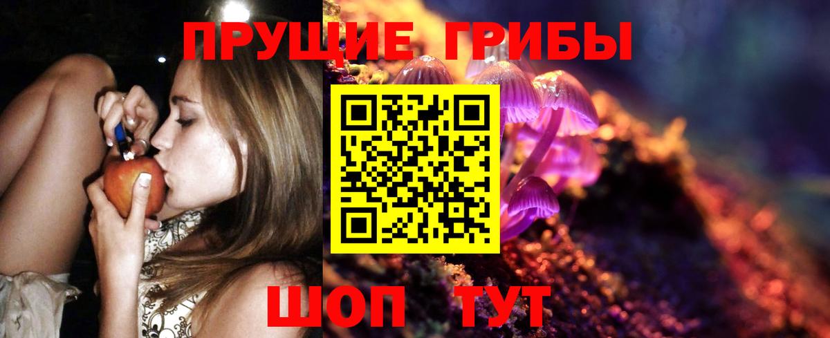 Среднеуральск  Галлюциногенные грибы Cubensis  Вход с VPN  Псилоцибиновые грибы Cubensis 