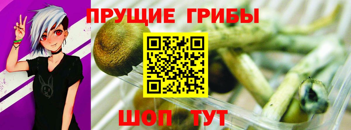 Галлюциногенные грибы Magic Shrooms Среднеуральск